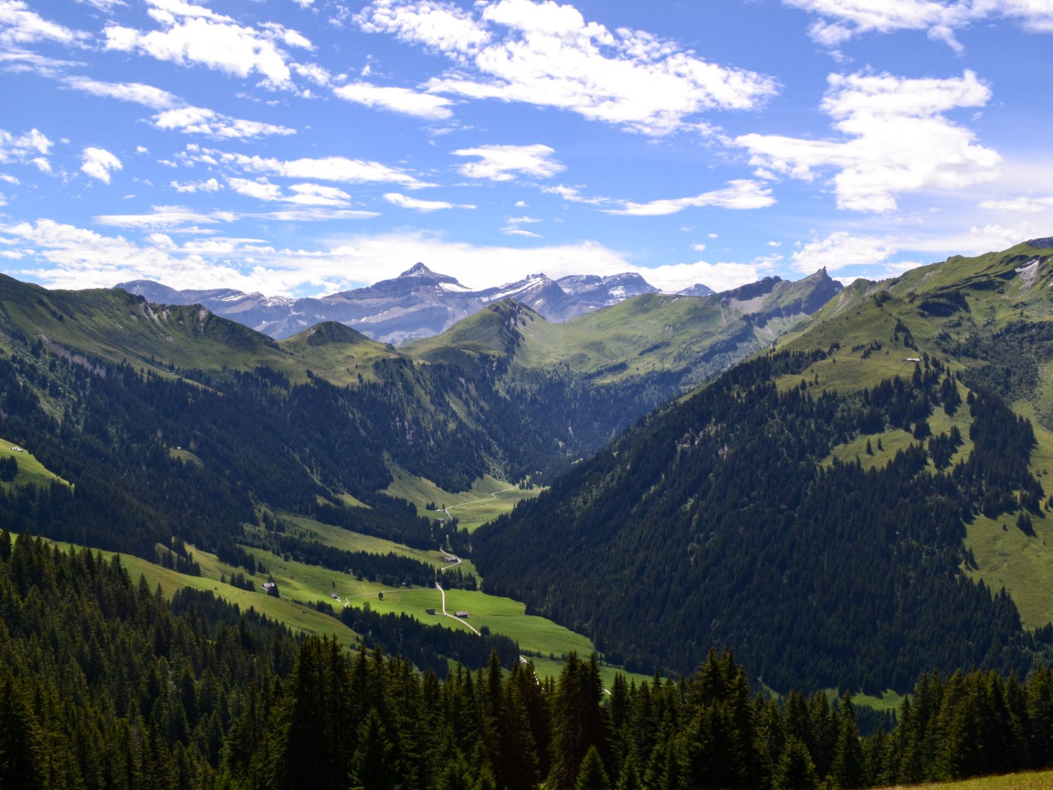Vue en direction du sud vers les Alpes vaudoises.