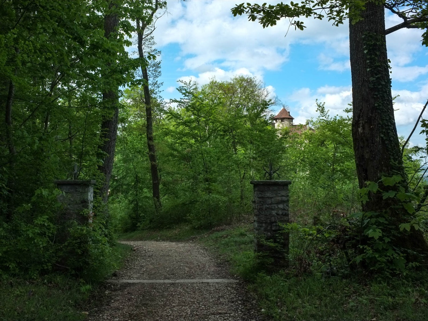Le château de Reichenstein, caché au cœur de la forêt. Photo: Claudia Peter