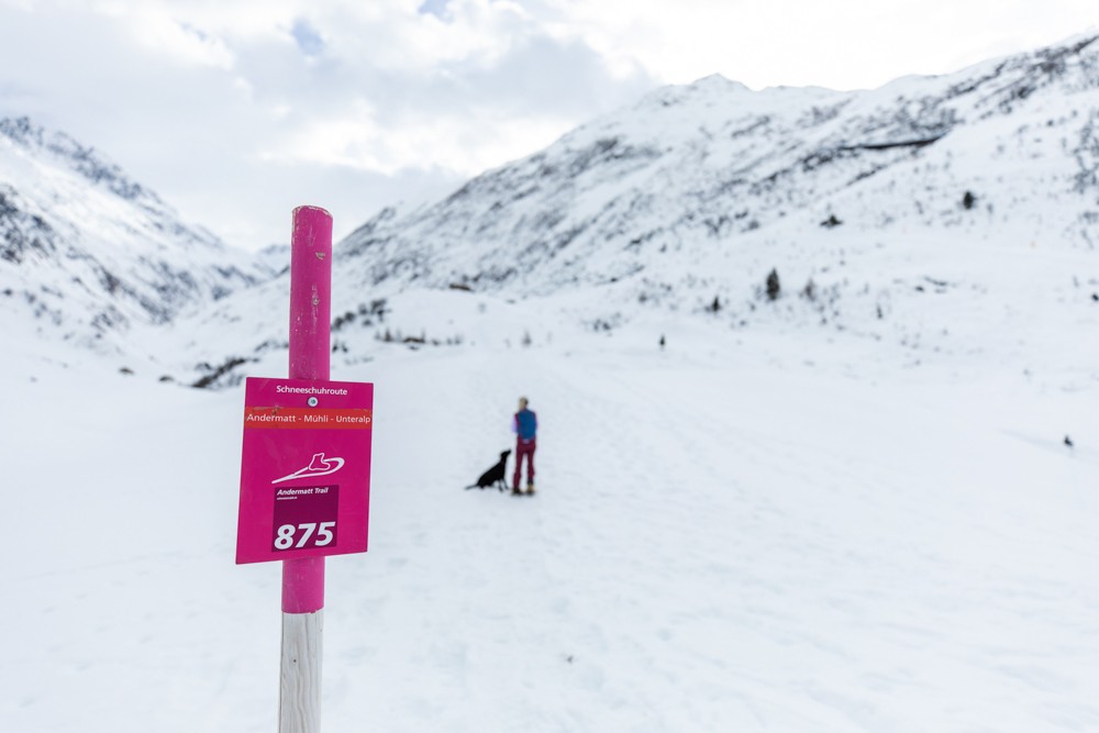 Le balisage de la piste de raquettes est bon et clair. Photo: Wanderblondies