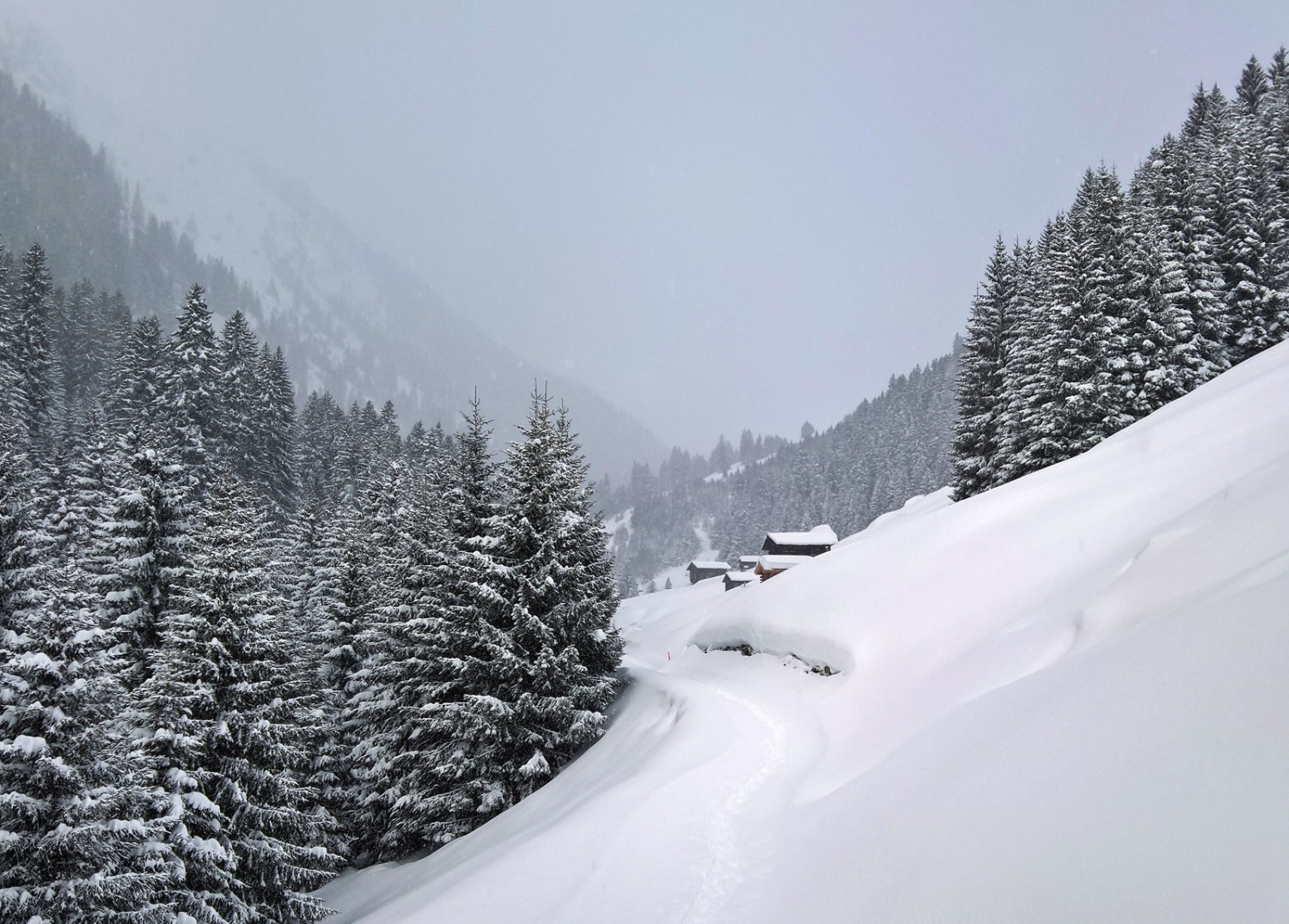 Dans la vallée du torrent Flem, en contrebas de l’Alp da Stiarls. Photo: Andreas Staeger.