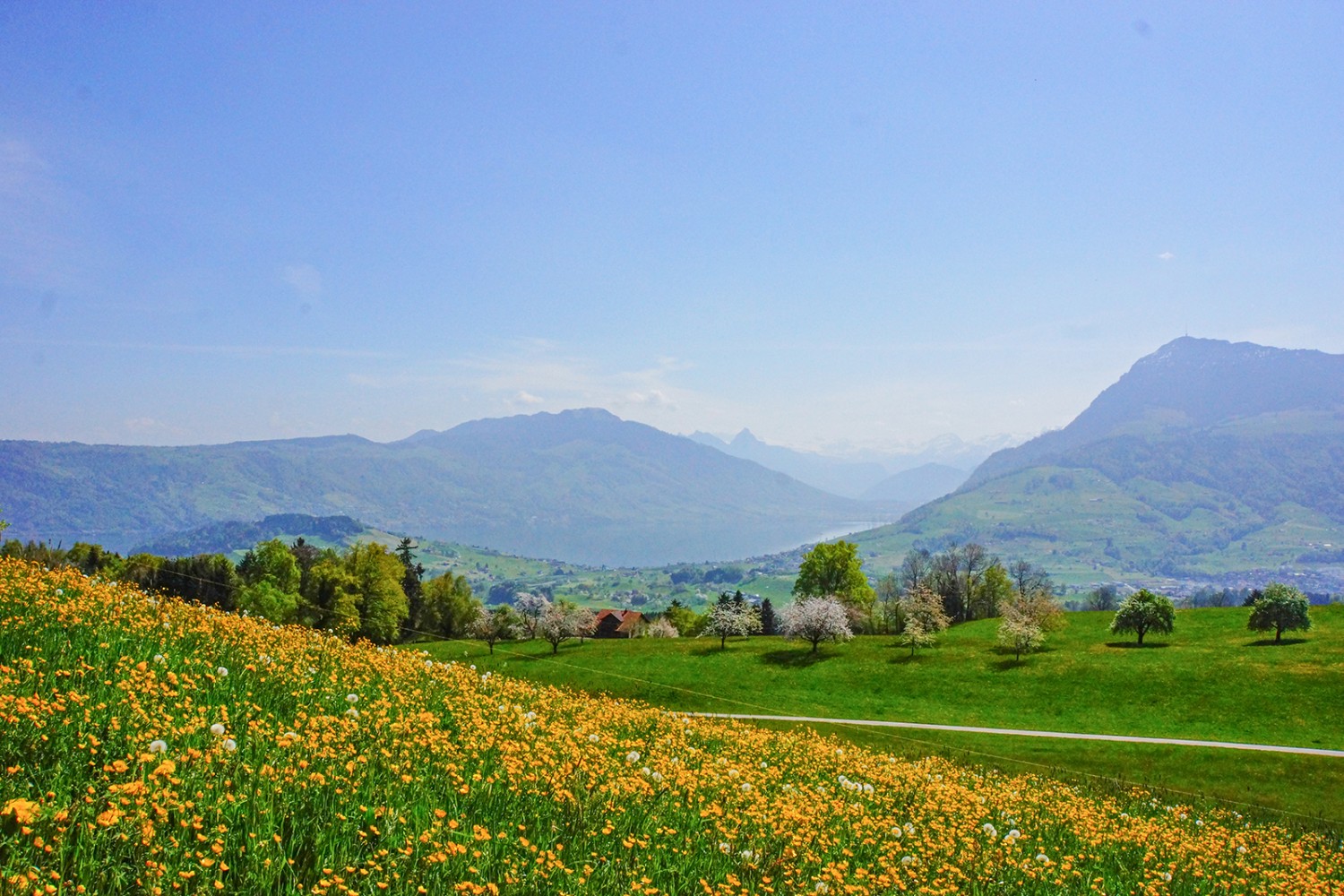 Un air de printemps entre Udligenswil et Michaelskreuz : vue sur le lac de Zoug et le Rigi. Photo Vanessa Fricker