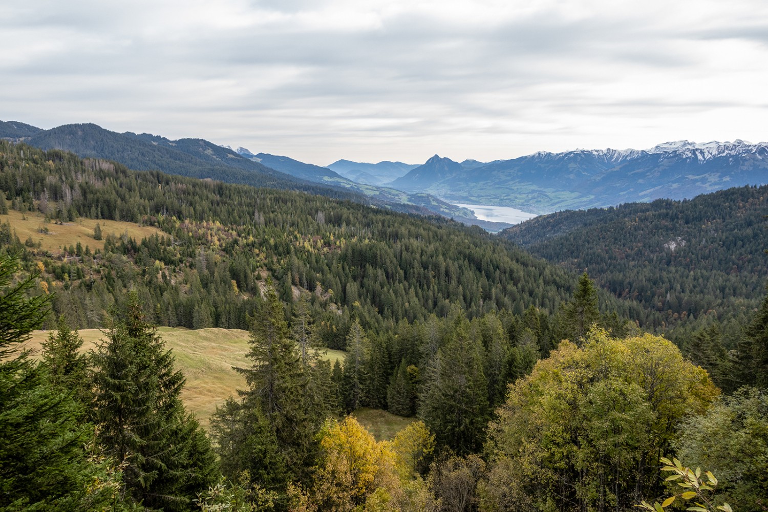 Du site marécageux, vue au loin sur le lac de Sarnen et, au fond, sur le Stanserhorn en pointe.