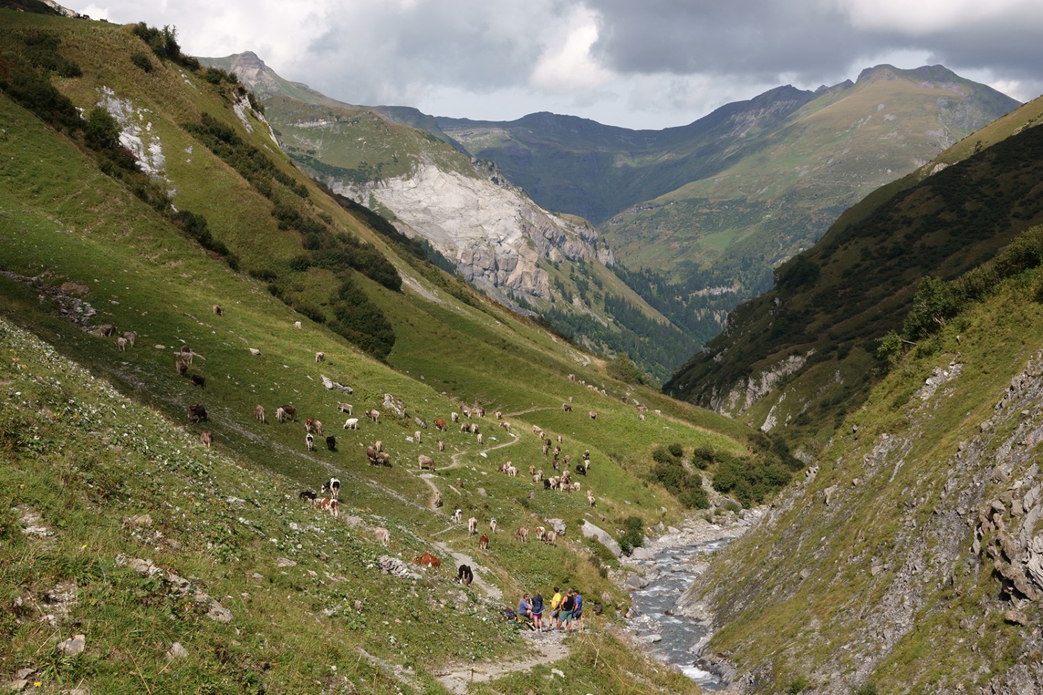 La descente vers Vorsiez est en pente douce. Photos: Frank-Olivier Baechler 