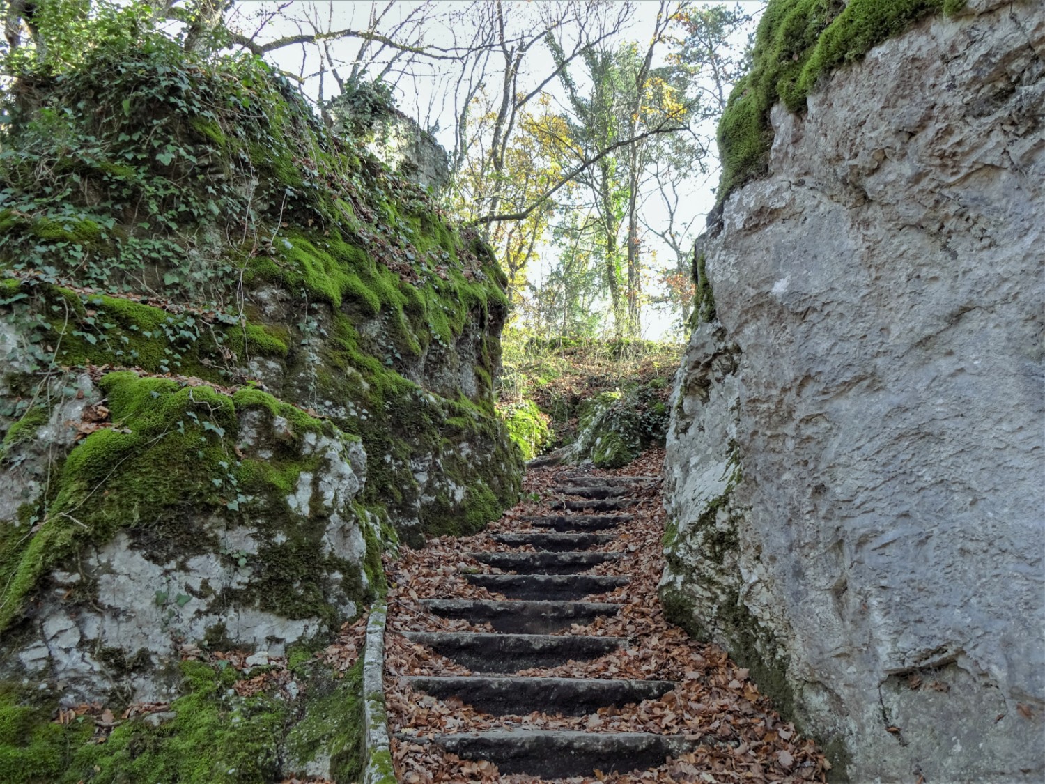 Un sentier monte au sommet des rochers de l’Ermitage. Photo: Miroslaw Halaba
