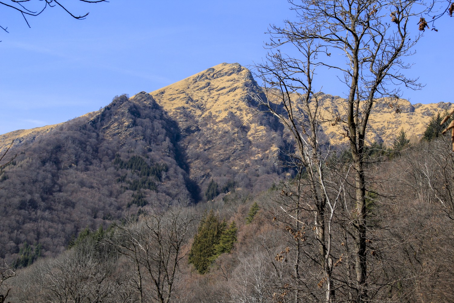 Die Selven liegen in den Buchenwäldern am Fuss des Monte Lema. Bild: Elsbeth Flüeler