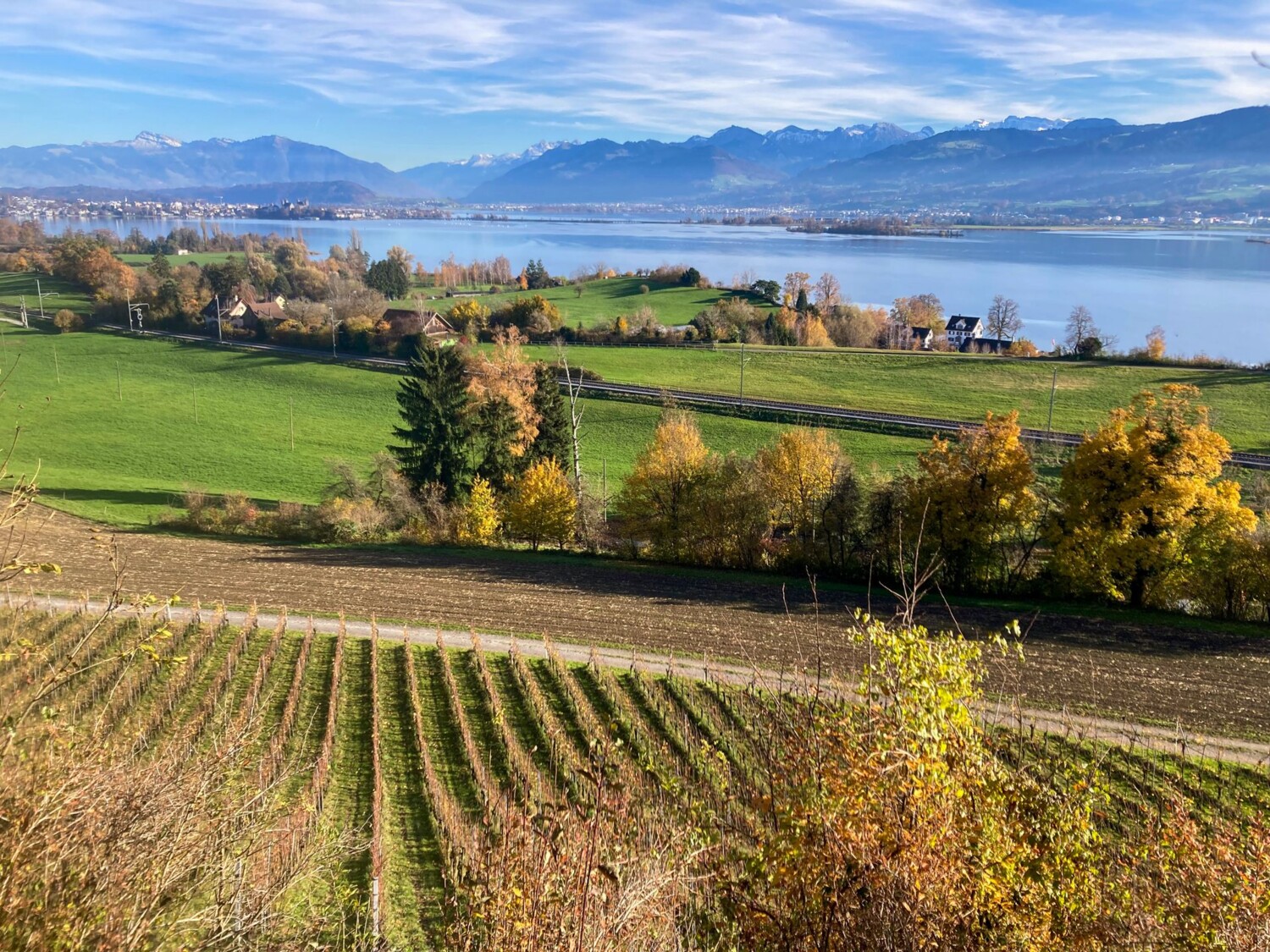 Aussicht über den Zürichsee zu den Schwyzer und Glarner Alpen.