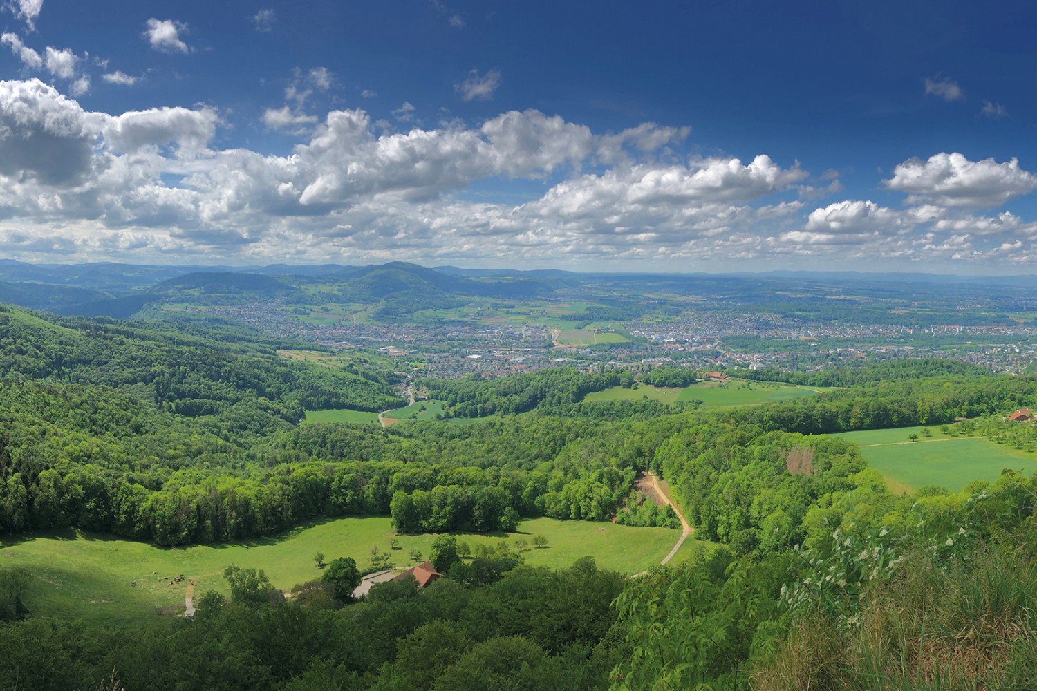 Vue de la Schartenflue vers la France, au-delà de Dornach. Photo: Thomas Gloor