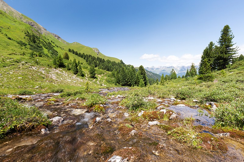 Le cours d’eau Selabach, qui ne coule qu’en été. En hiver, il se tarit. Photos: Daniel Fleuti