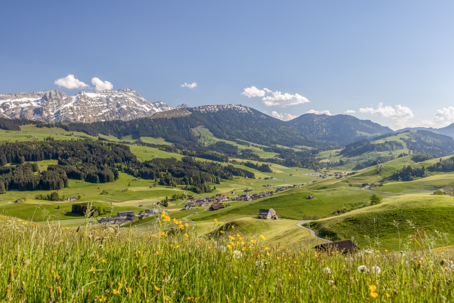 Blick von der Chuterenegg auf den Alpstein. Bild: appenzell.ch