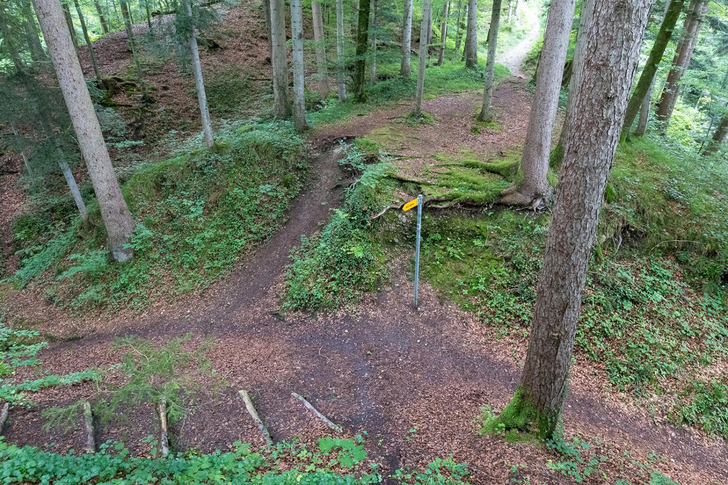 Les ruines de Rüdberg, bien cachées dans la forêt.