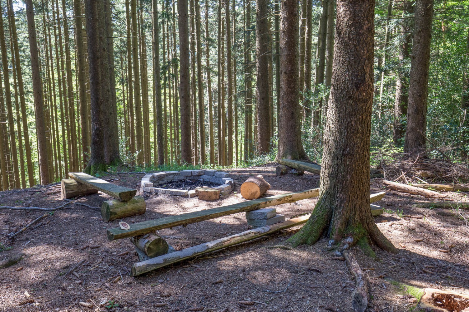 Dans la montée de Ledi à St. Anton, l’itinéraire traverse tout d’abord une charmante forêt disposant d’aires de grillades ... Photo: Daniel Fleuti 