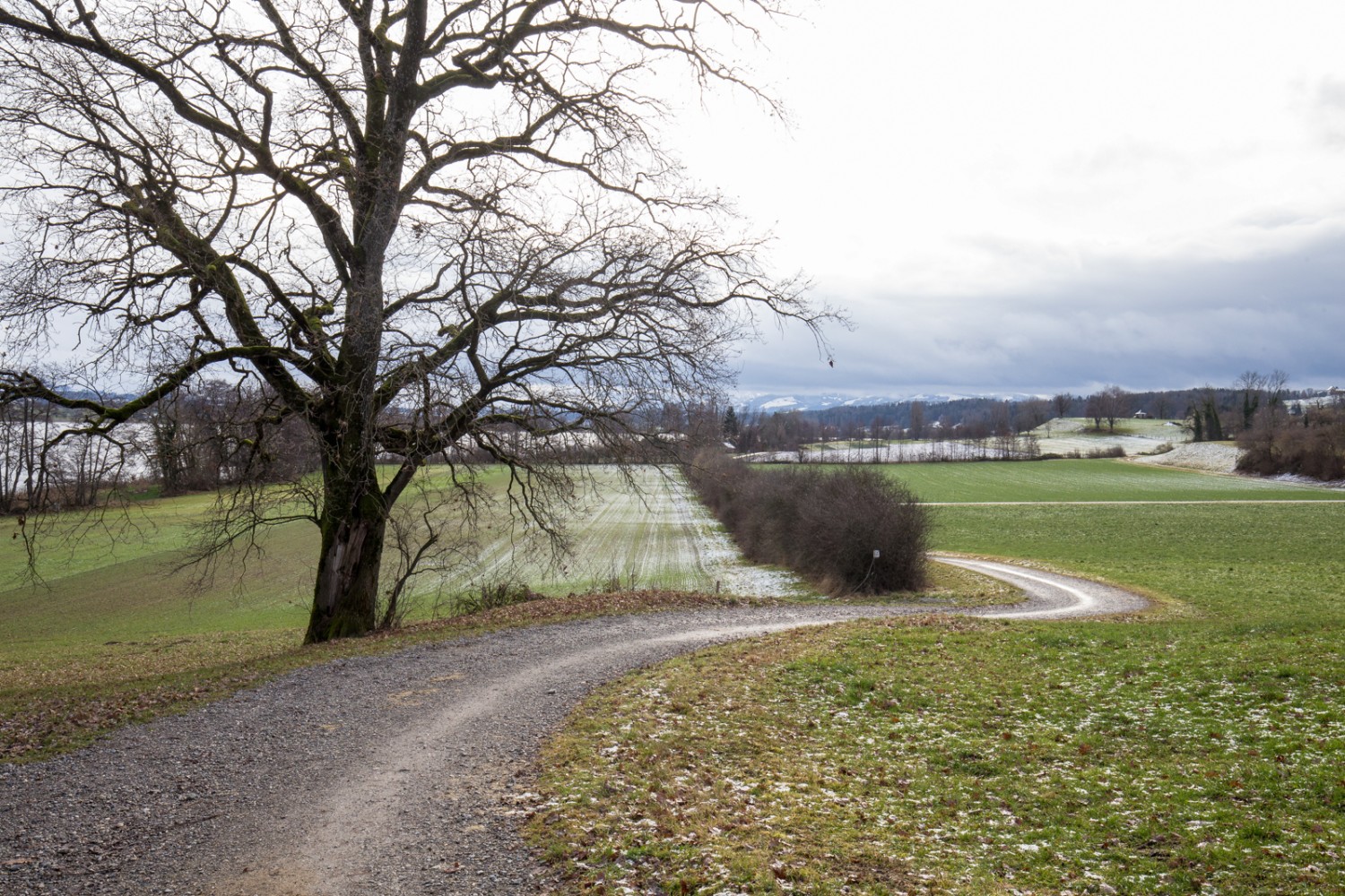 Kurz nach dem Start zur Wanderung in Maur. Blick auf den Greifensee und Richtung Bachtel. Bild: Daniel Fleuti