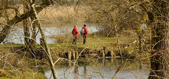 Promenade dans le Gippinger Grien. Photo: Heinz Staffelbach