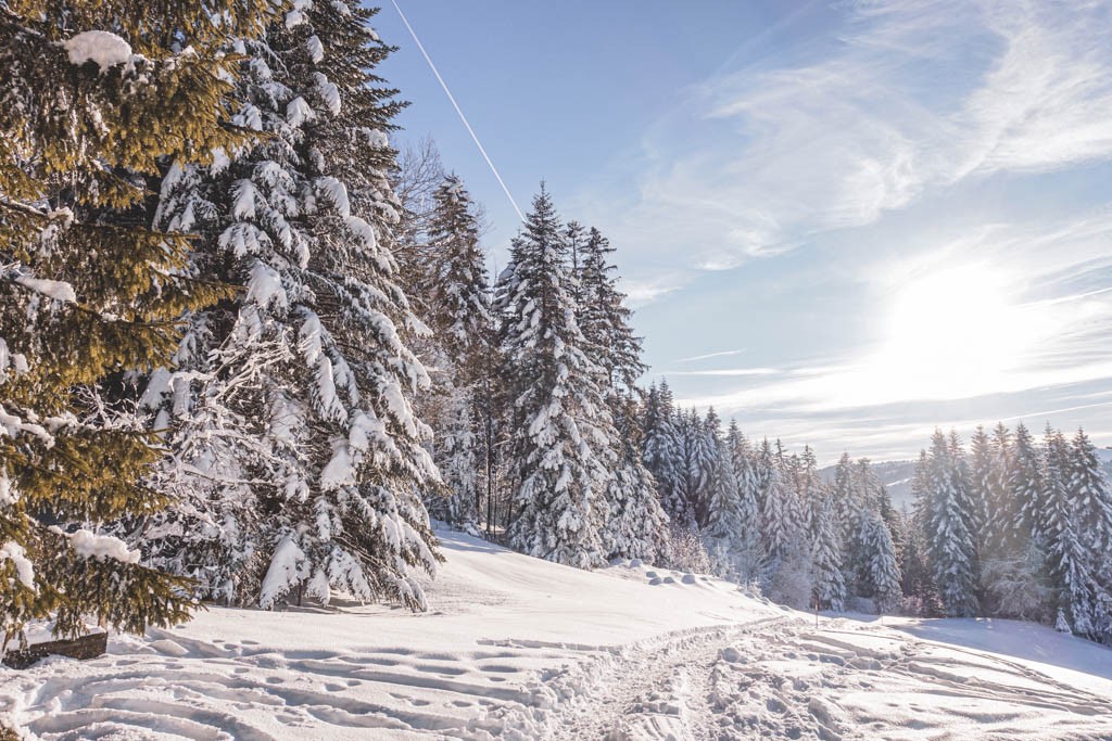 Un des pâturages sauvages en descendant par le versant Nord-Ouest. Photo: Lauriane Clément