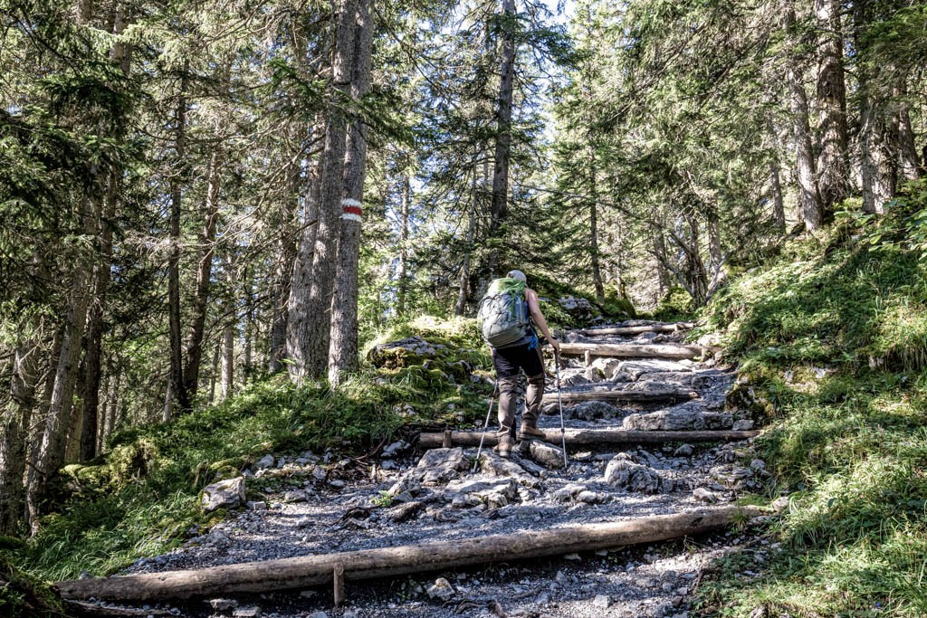 Les premiers mètres de dénivelé se font à l’ombre de la forêt. Photo: Daniel Fleuti