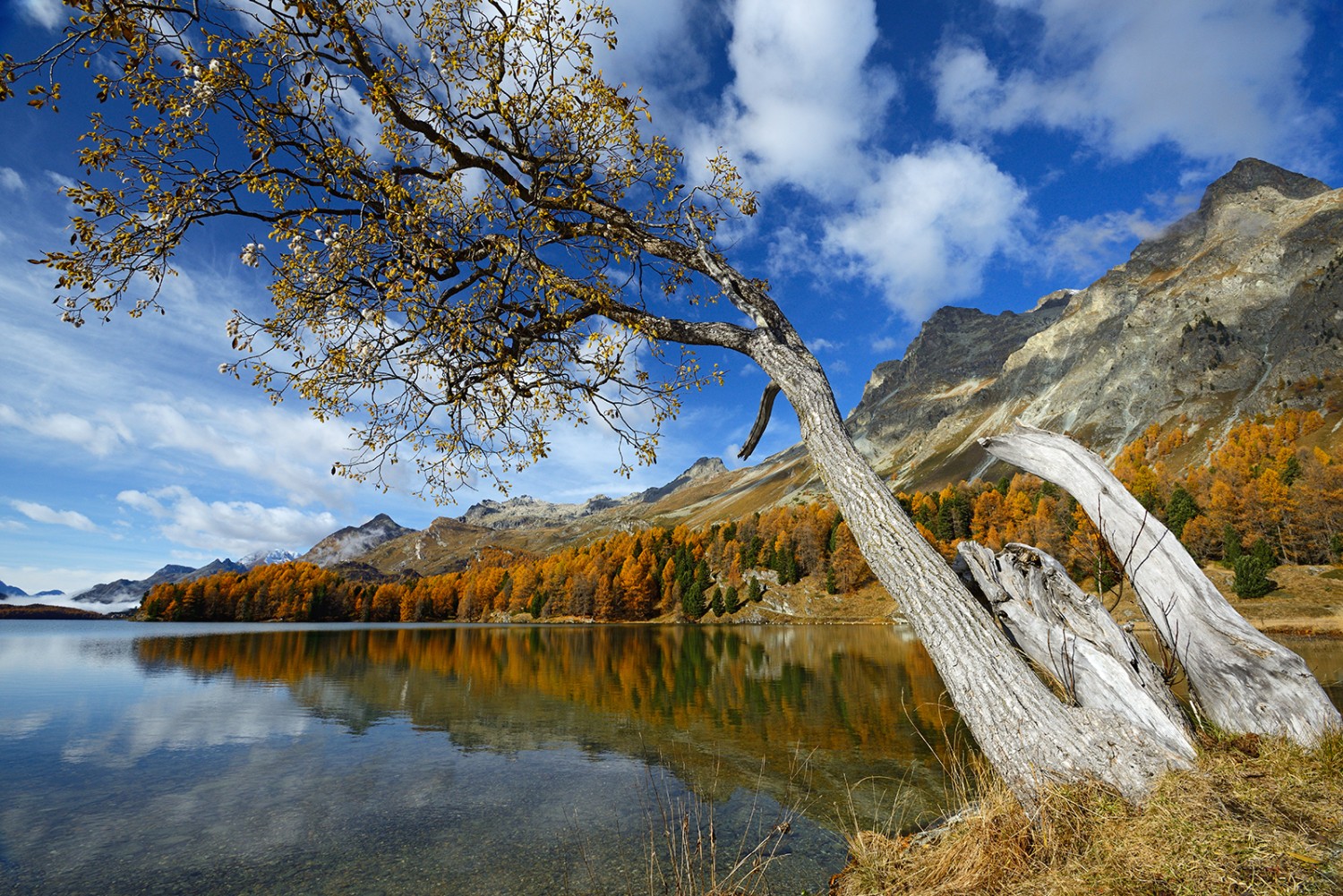 Depuis la rive est du lac de Sils, on aperçoit la presqu’île Chastè.
Photo: natur-welten.ch