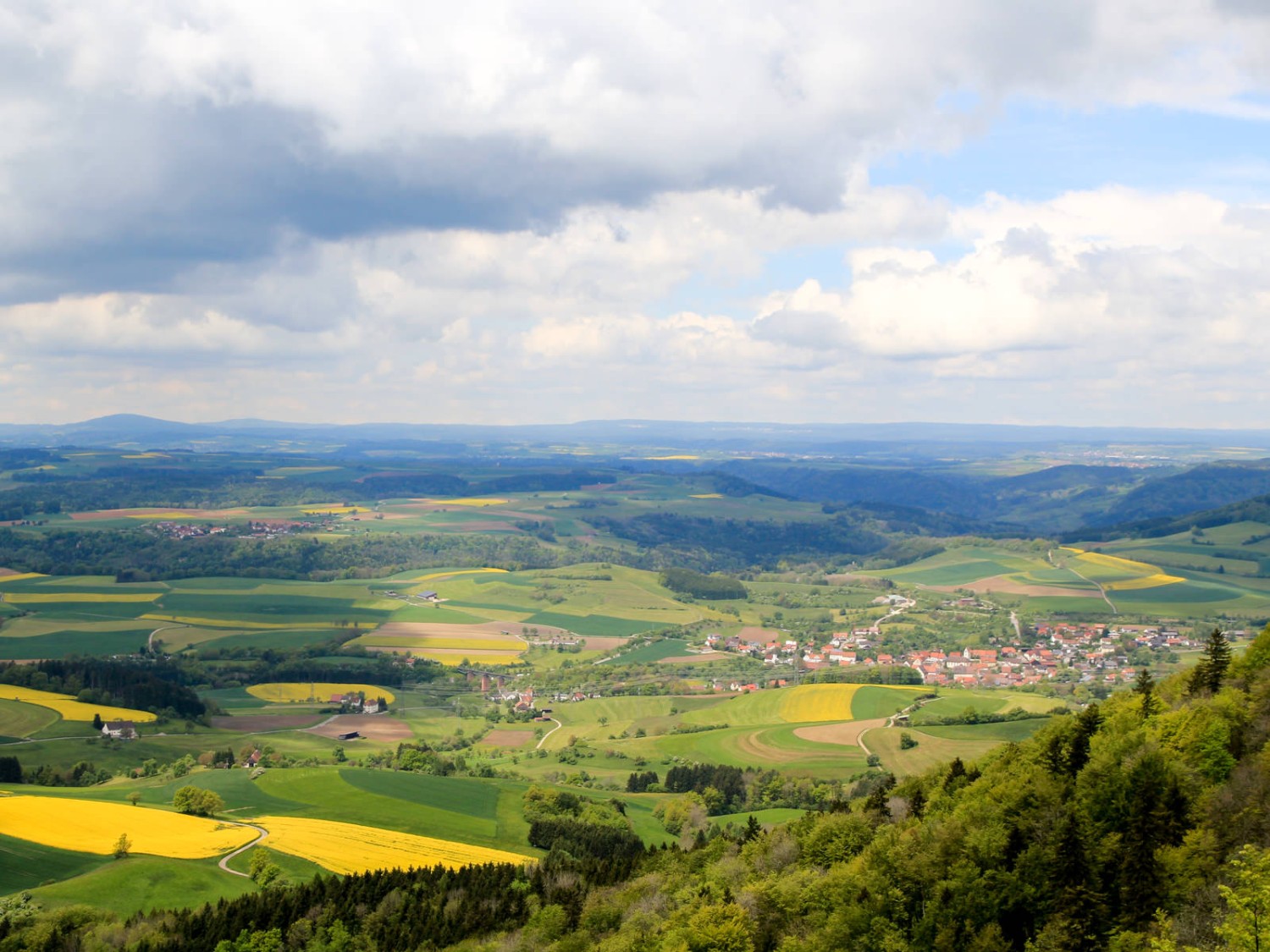 Vue depuis le Randen. Photo: Elsbeth Flüeler