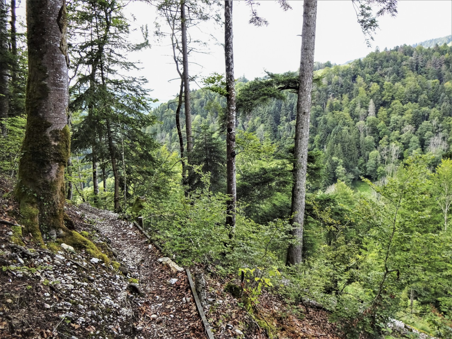 Le sentier, aménagé par les bénévoles de Jura Rando, suit un éperon rocheux avant d’atteindre le Doubs. Photo: Miroslaw Halaba
