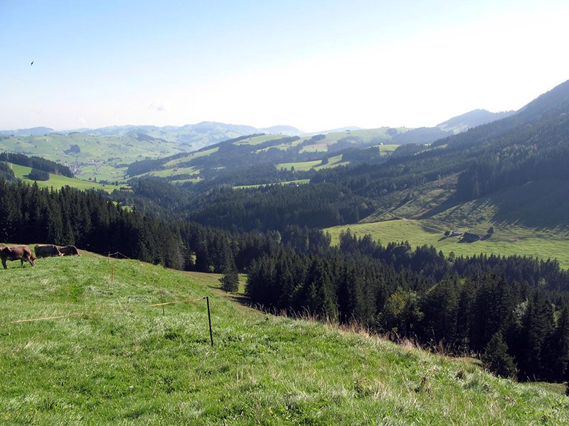 Aussicht von der Alp Blattendürren nach Gonten. Photo: appenzell.ch