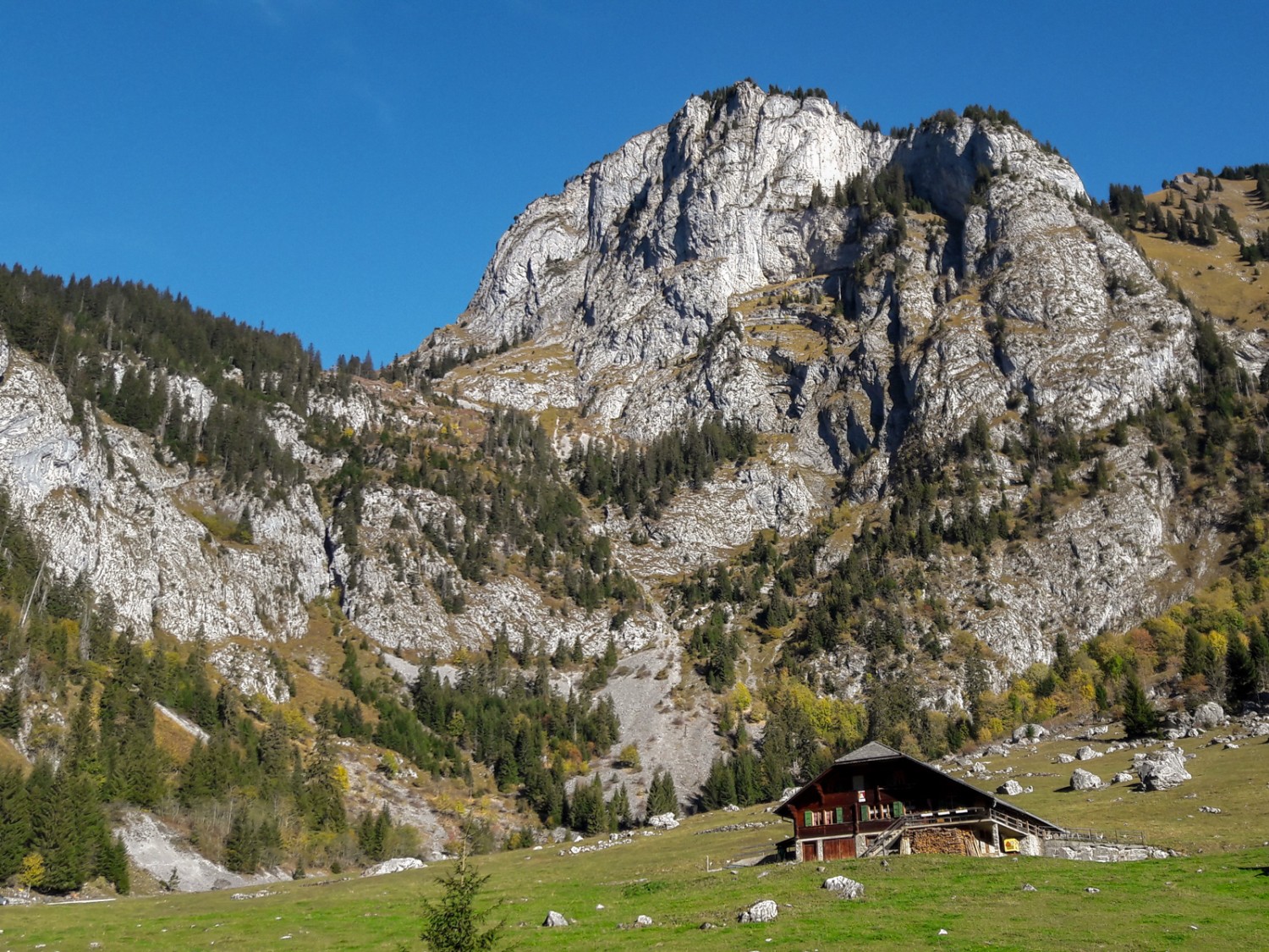 Vue sur la Rockschwarteflue, où une ascension sérieuse à travers bois attend le marcheur. Photo: Patrick Salzmann