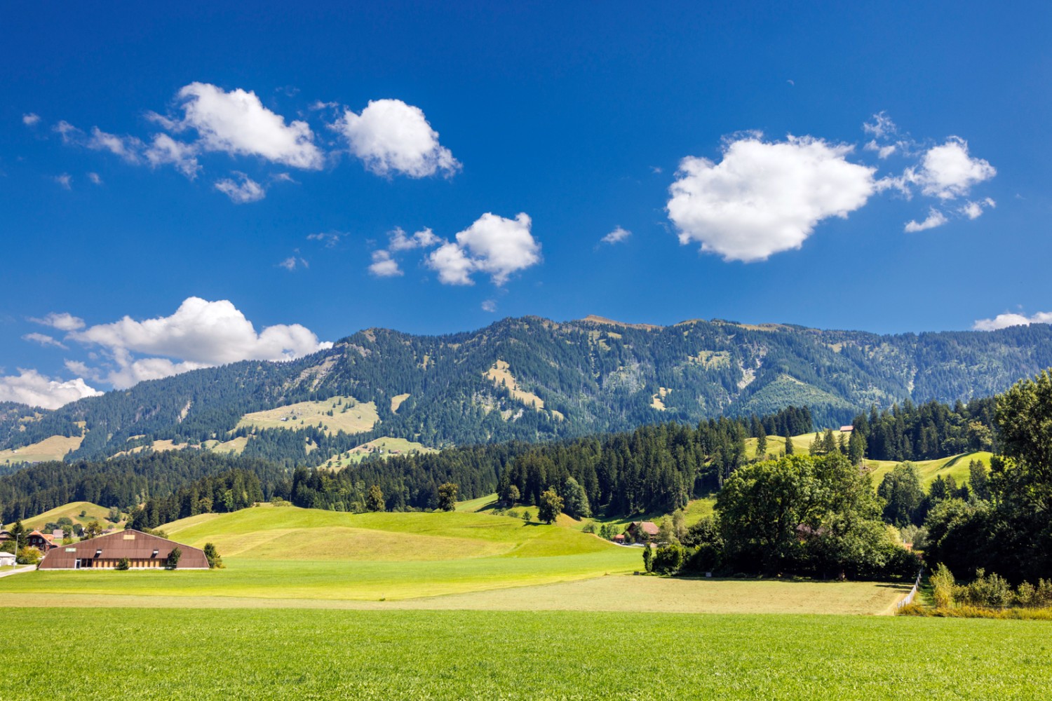 Objectif atteint: dernier regard sur la Beichle à Escholzmatt. Photo: Severin Nowacki