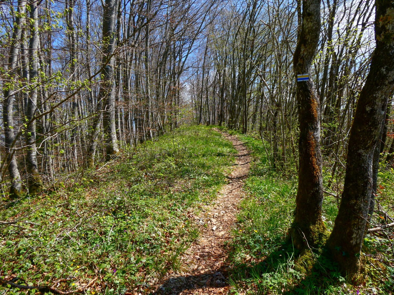 Le sentier mène à Charbonnière, le long de la frontière franco-suisse. Photo: Rémy Kappeler