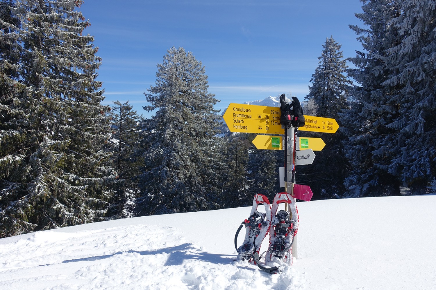 Pause sur la Gössigenhöchi. 