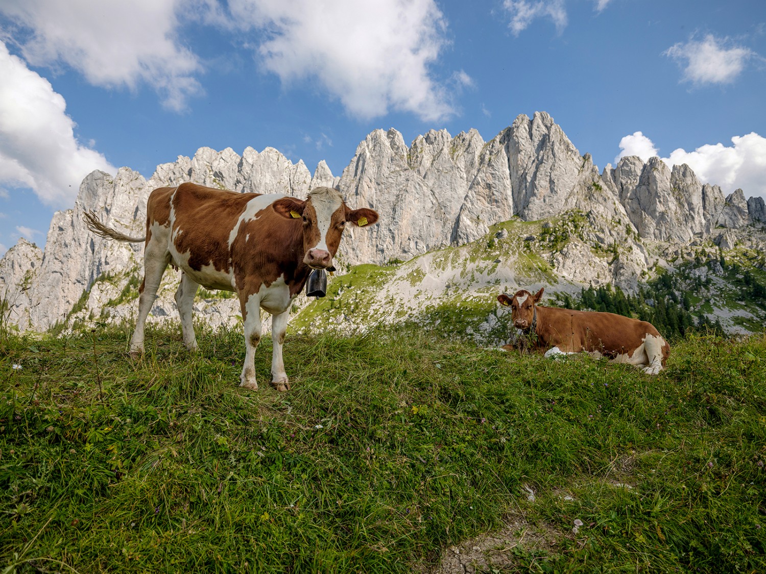 Die markanten Spitzen der Gastlosen.
Foto: Pascal Gertschen, Fribourg Région