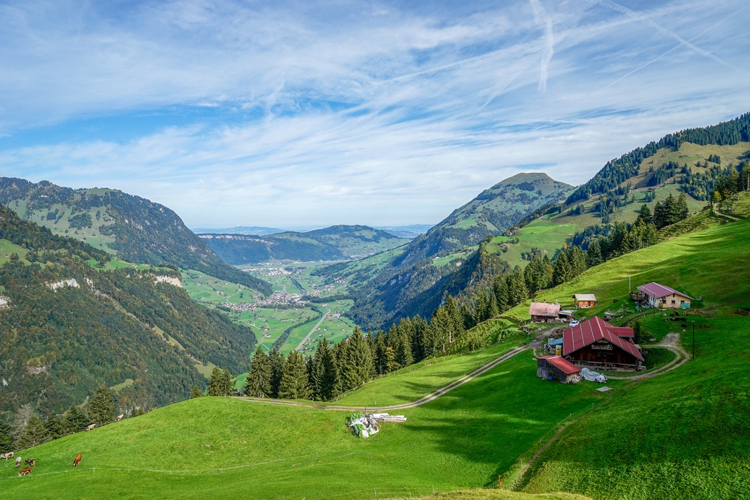 Vue du Wellenberg sur la vallée d’Engelberg, le Bürgenstock (au milieu) et le Buochserhon (à d.).
Photos: Fredy Joss