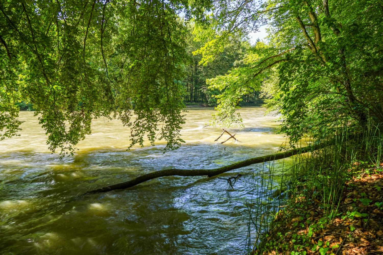 Von Brugg zum Wasserschloss der Schweiz