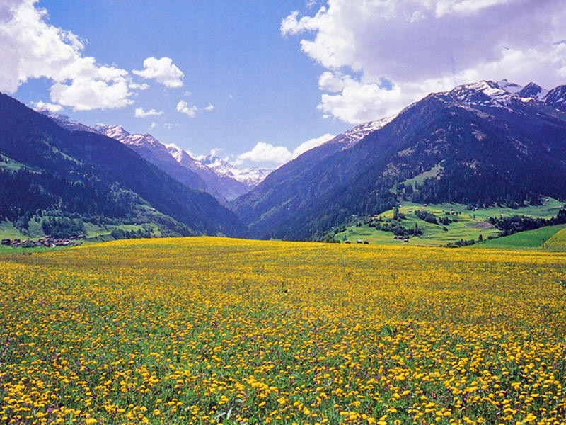 Espace et clarté dans la partie inférieure de la vallée. Photo: Franz Auf der Maur