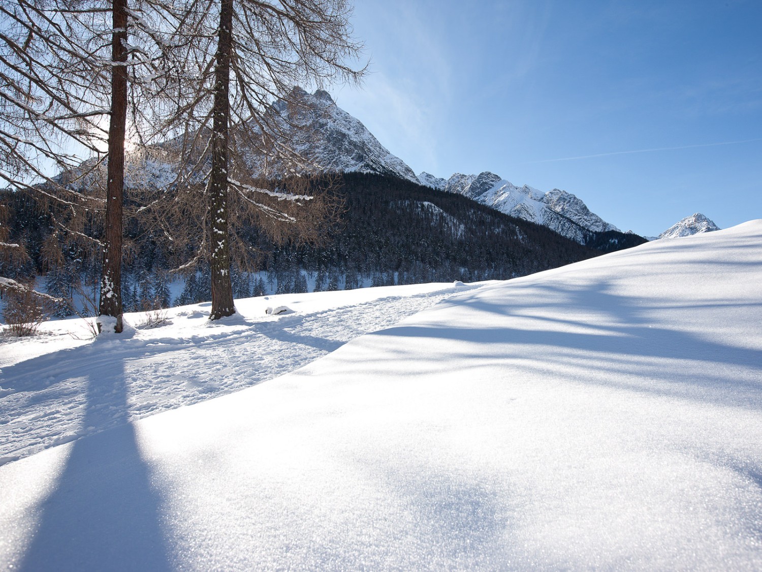 Le tronçon situé en Basse-Engadine est probablement l’un des plus longs chemins de randonnée d’hiver de Suisse. Photo: Engadin Tourismus