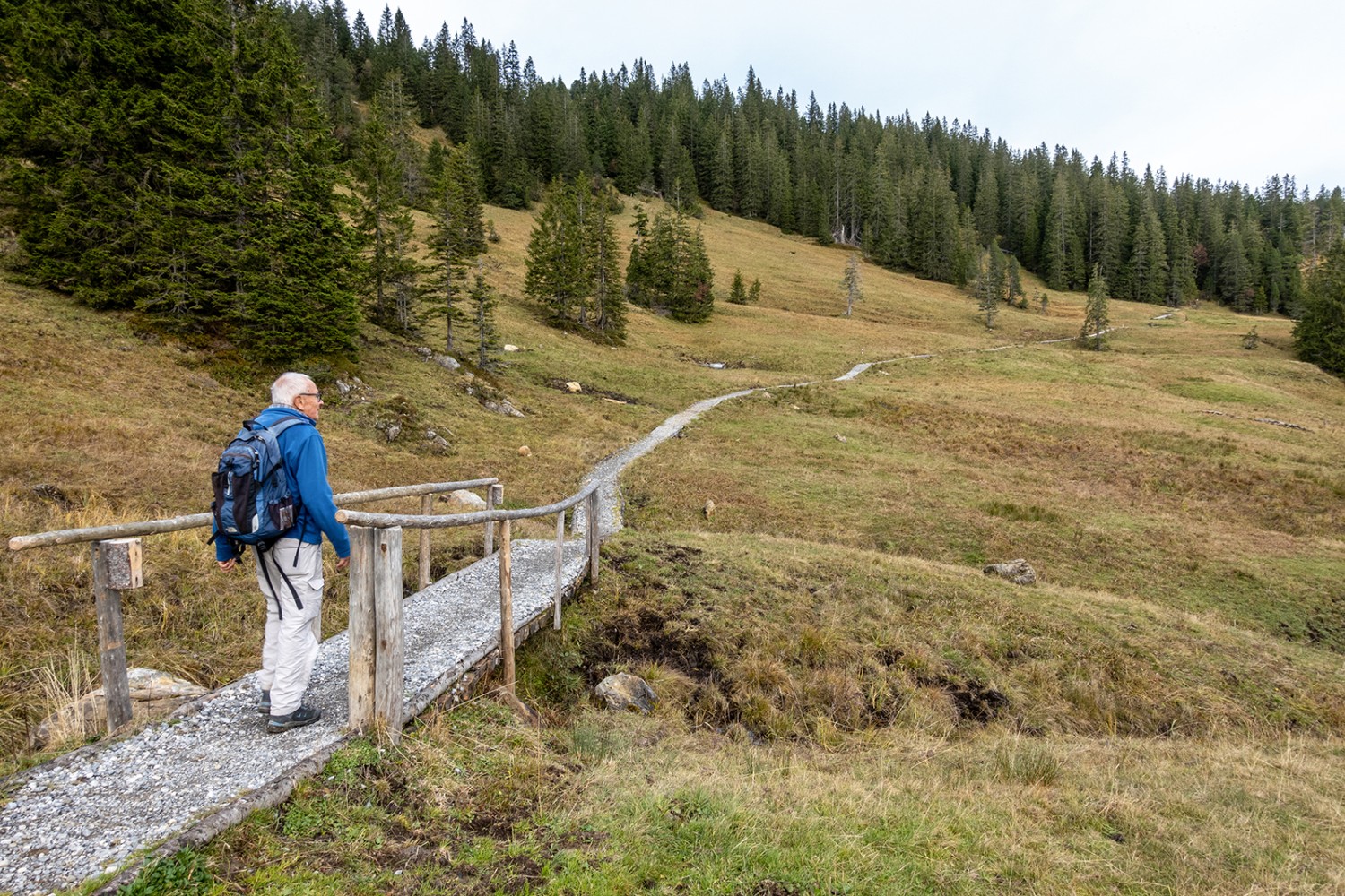 Un chemin bien aménagé à travers les sites marécageux à Rorboden.