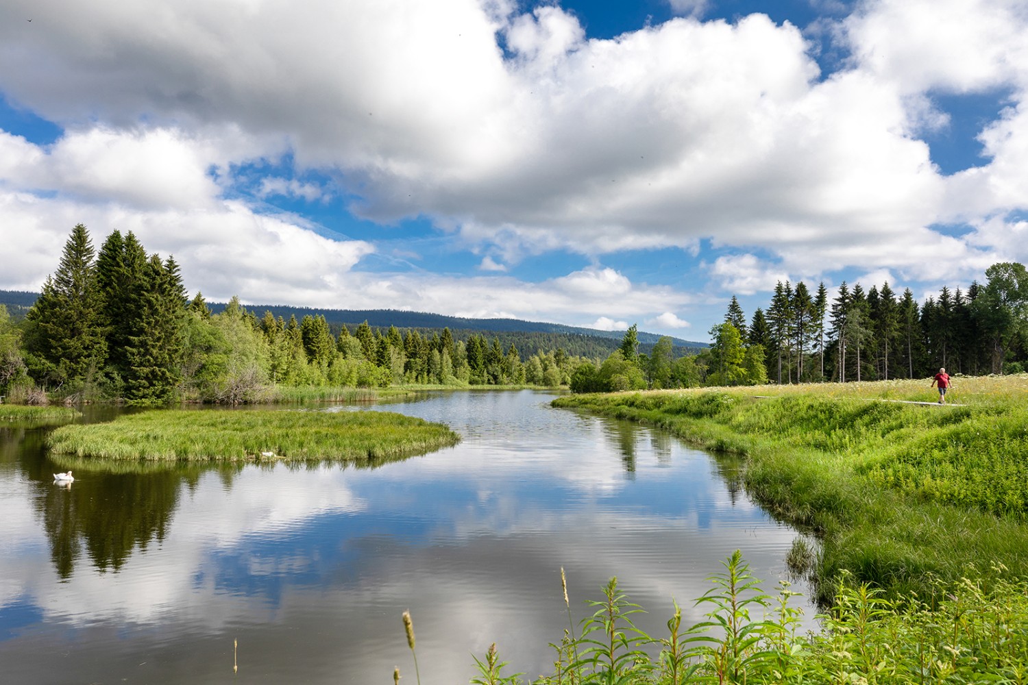 Idylle naturelle près de Tête du Lac. Photo: Severin Nowacki