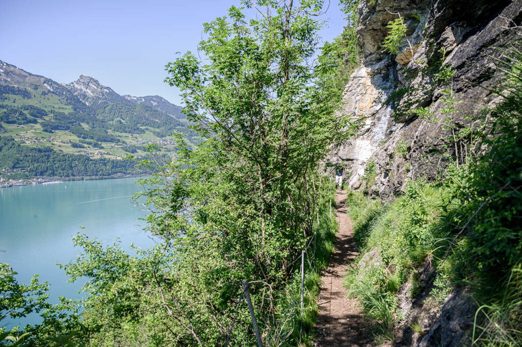 La randonnée débute hors du village et suit majoritairement les berges du lac de Walenstadt... Photo: Jon Guler