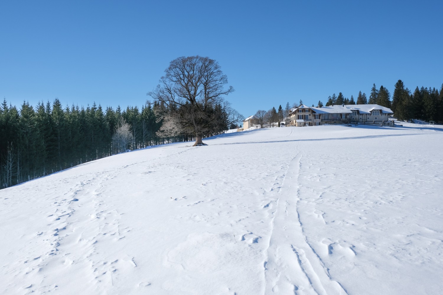 Die Auberge du Grand-Sommartel liegt auf einem Höhenrücken am Rande einer grossen Juraweide. Bild: Markus Ruff