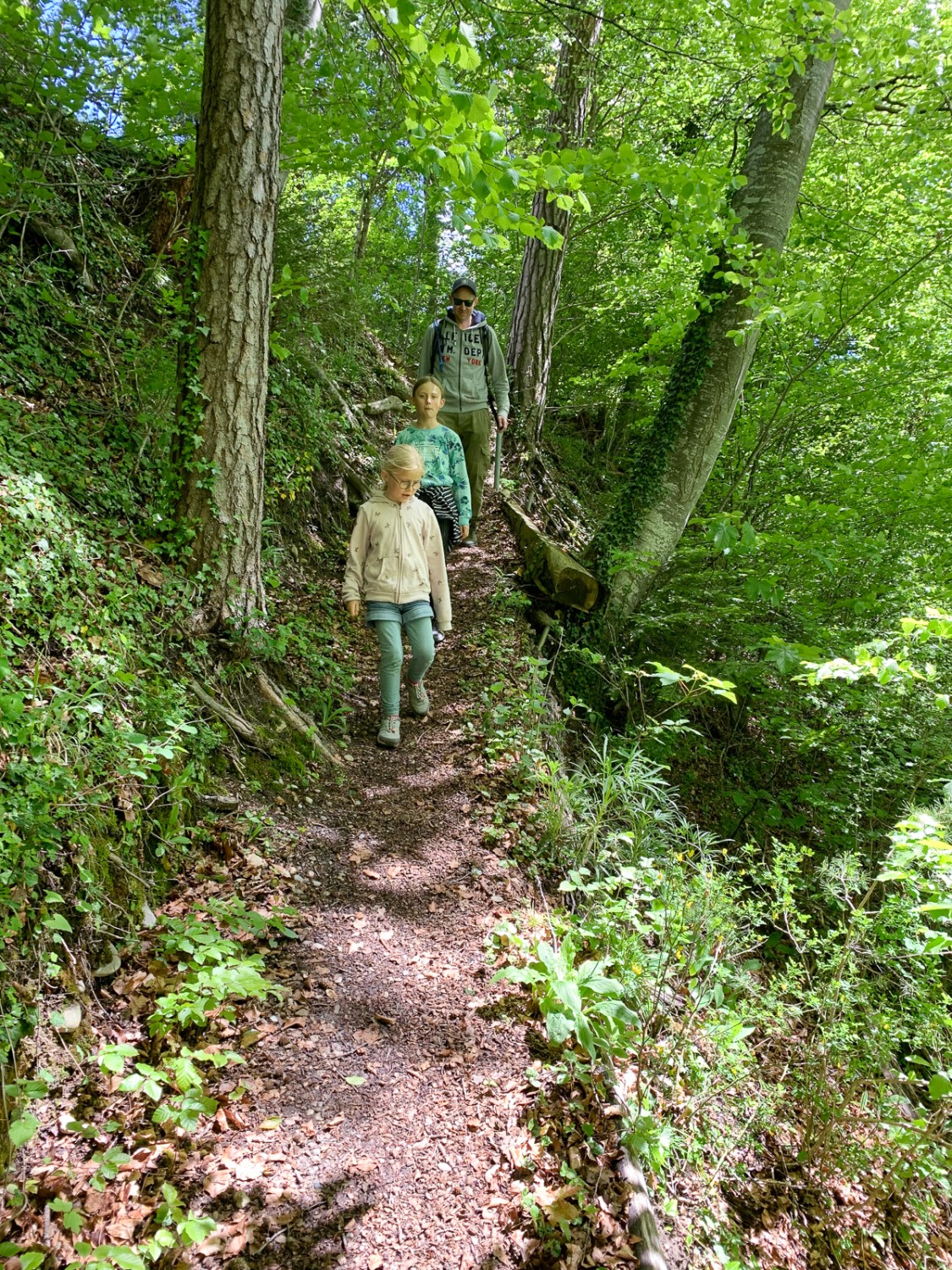 Une descente courte mais raide sur un étroit sentier, et voici déjà l’abbaye d’Hauterive. Photo: Monika Leuenberger