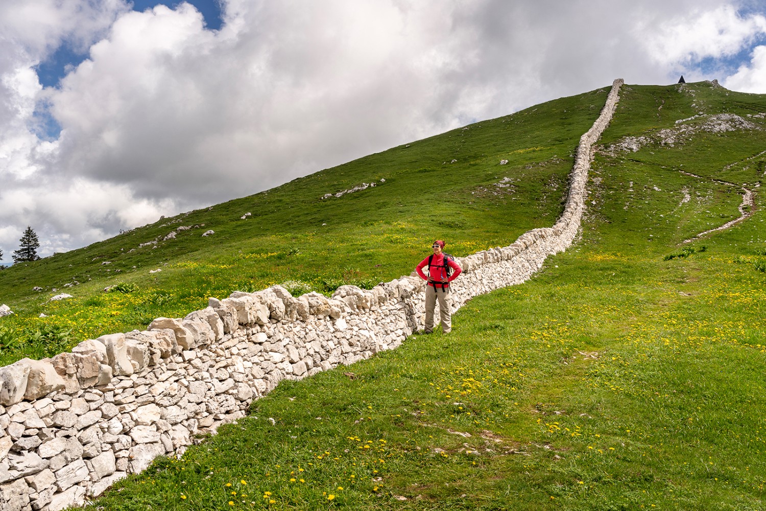 Les murs en pierres sèches marquent fortement le paysage jurassien. Ici sur le Mont Tendre. Photo: Severin Nowacki