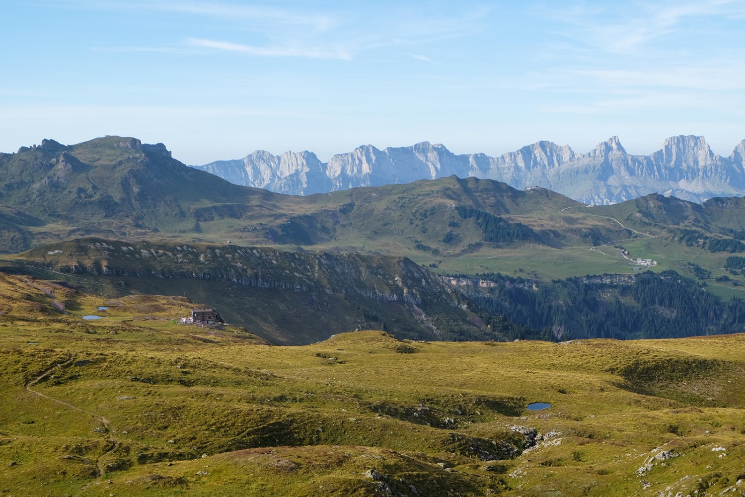 De larges pâturages avec, en toile de fond, les Churfirsten près du lac de Walenstadt. Photos: Elsbeth Flüeler