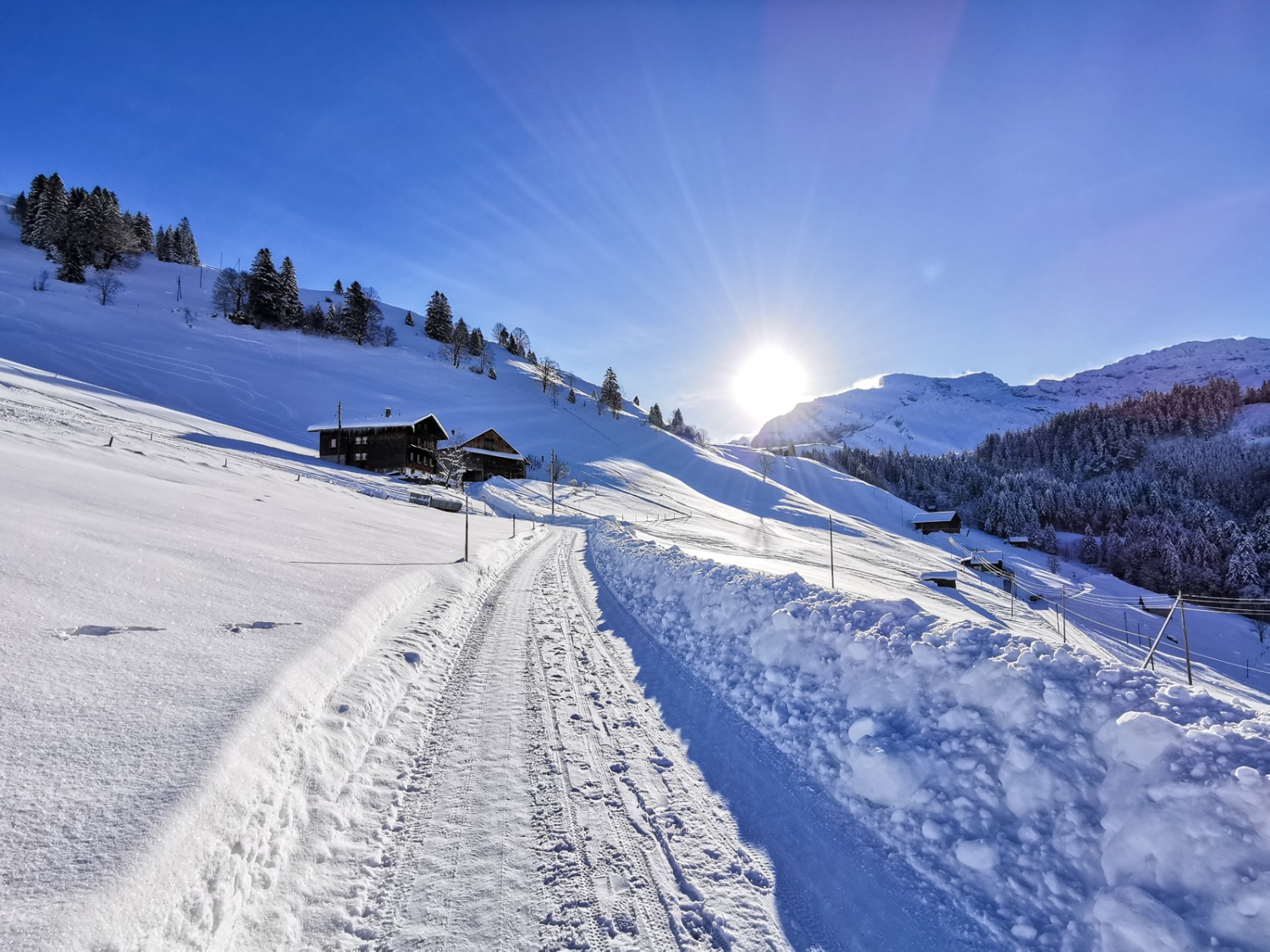 Schwand. Photo: Andreas Staeger.