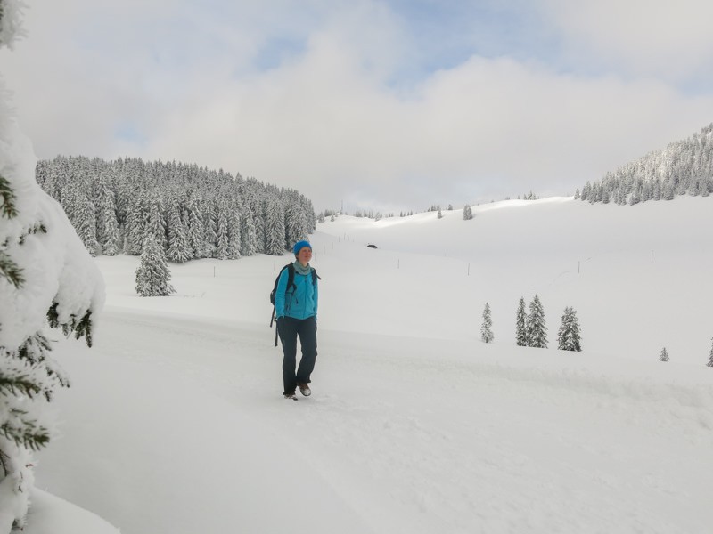 Nicht allzu lange, aber beglückende Winterwanderung auf dem Jaunpass. Bilder: Marina Bolzli