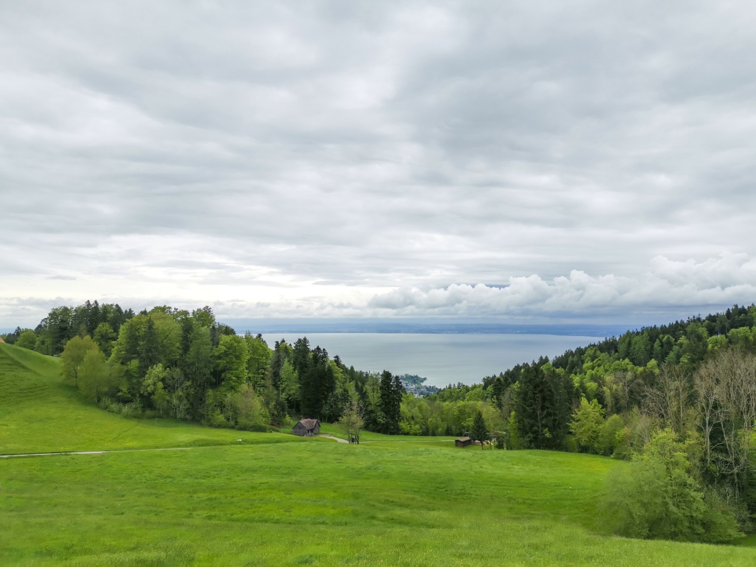 Veduta sul lago di Costanza. Foto: Evelyne Zaugg