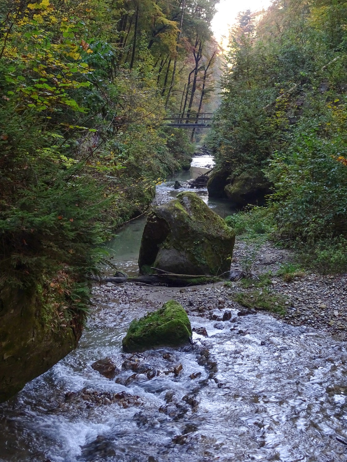 D’énormes blocs de roche immobiles dans la rivière Gottéron.