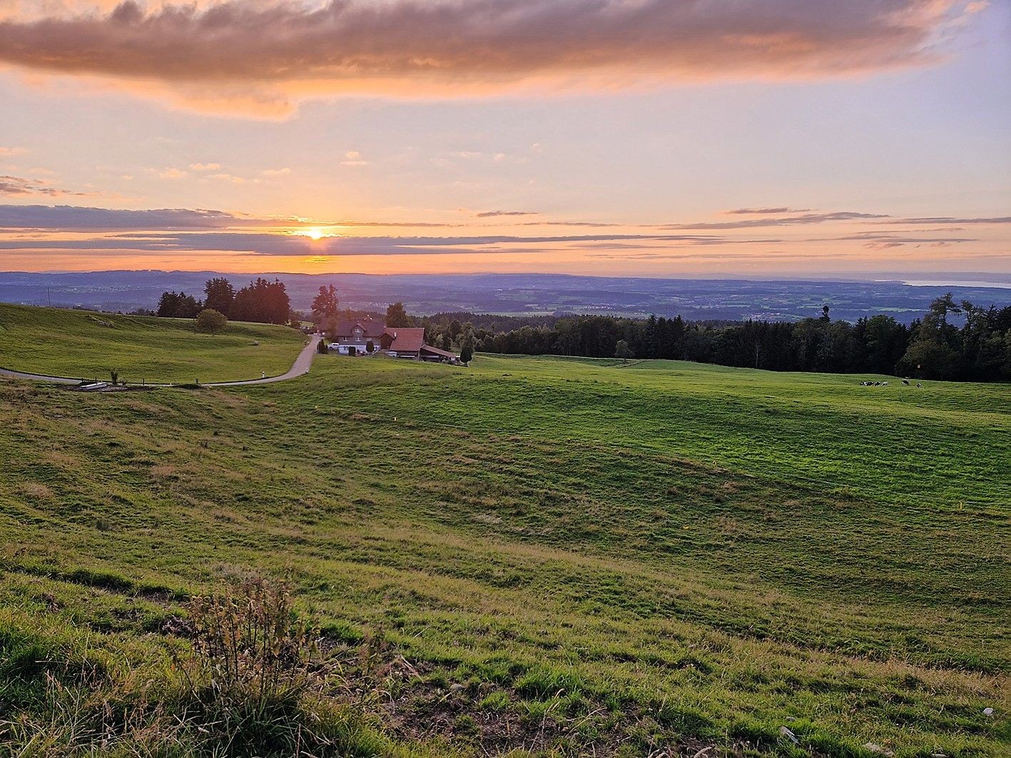 Tannenberg