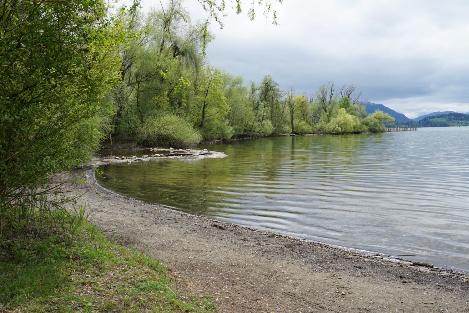 Entre Zoug et Cham, la Lorze a formé un grand delta dans le lac.