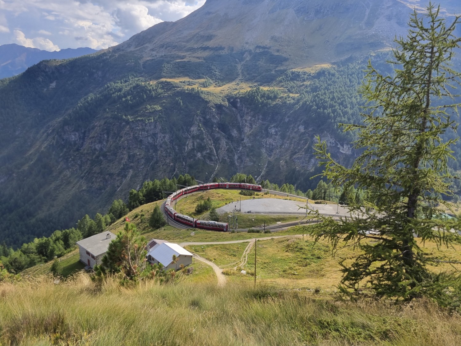 Al di sotto dell’alpe Grum si vede uno dei numerosi tornanti della linea del Bernina. Foto: Nathalie Stöckli