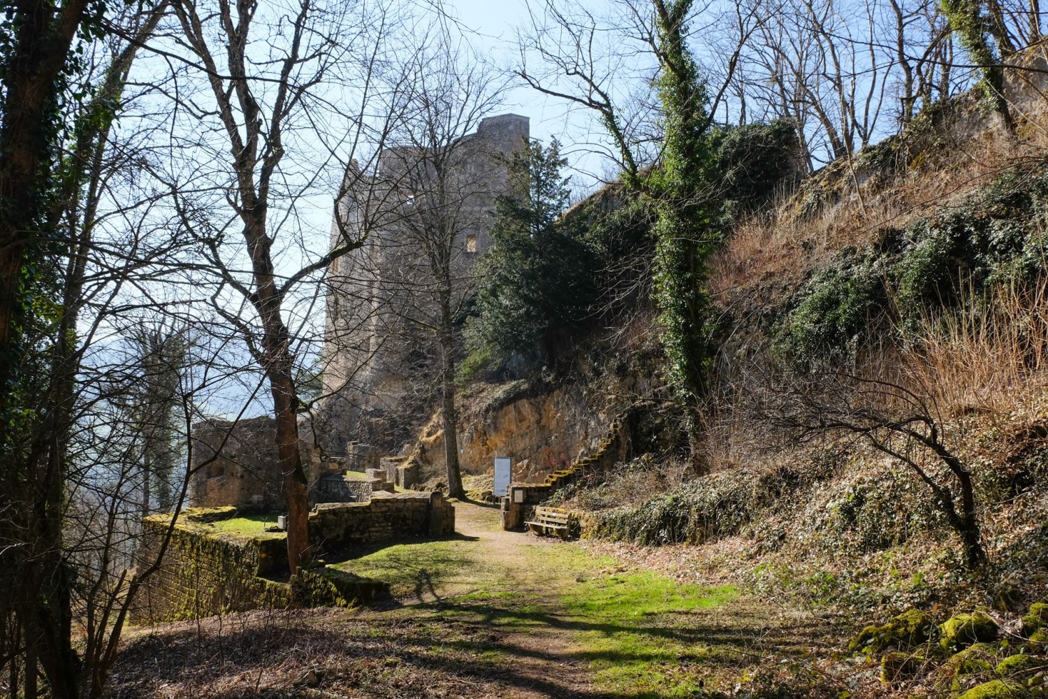Zwischen den kahlen Bäumen taucht die Burg Homburg auf.