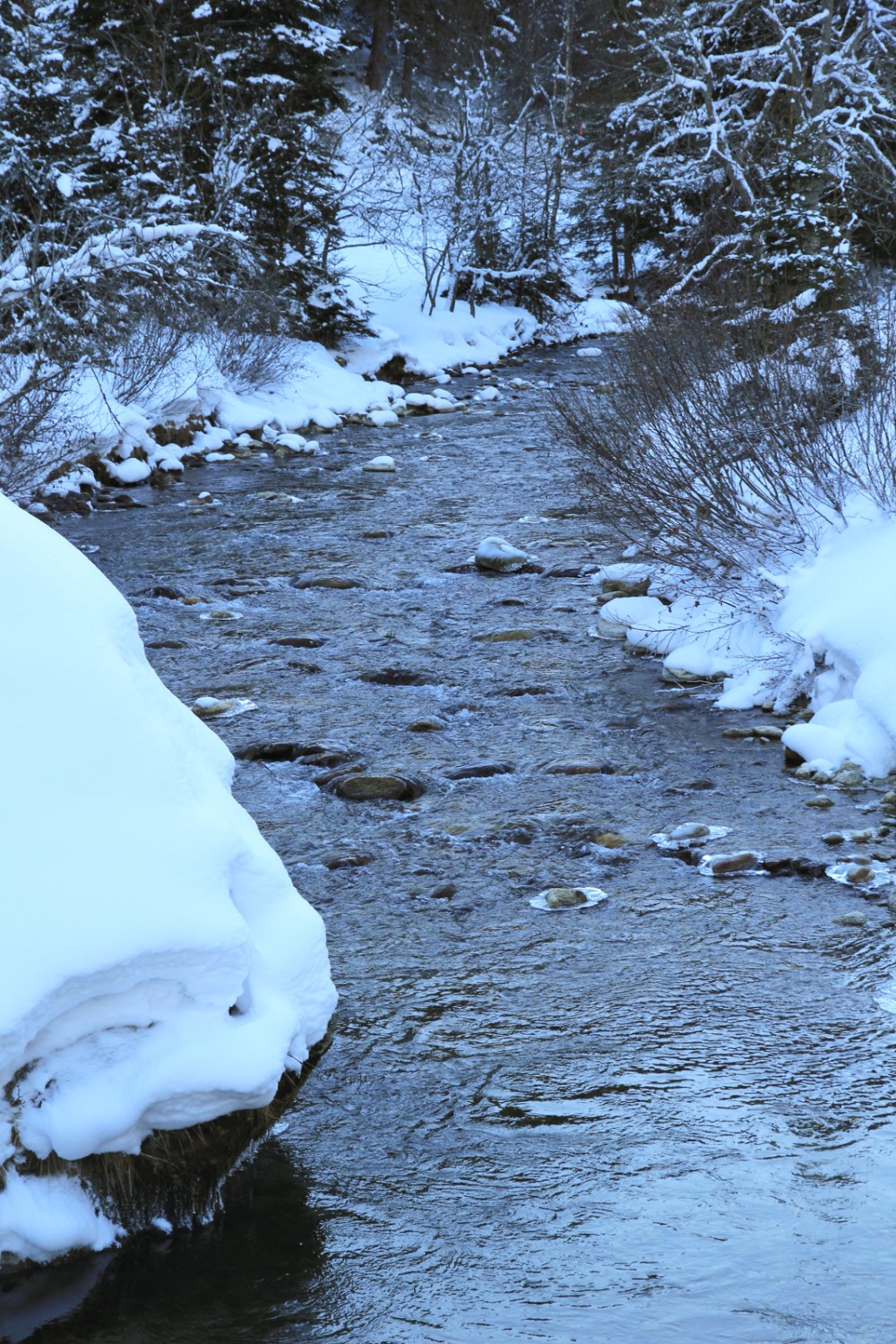 La piste de raquettes longe la Reuss de Göschenen. Photo: Elsbeth Flüeler