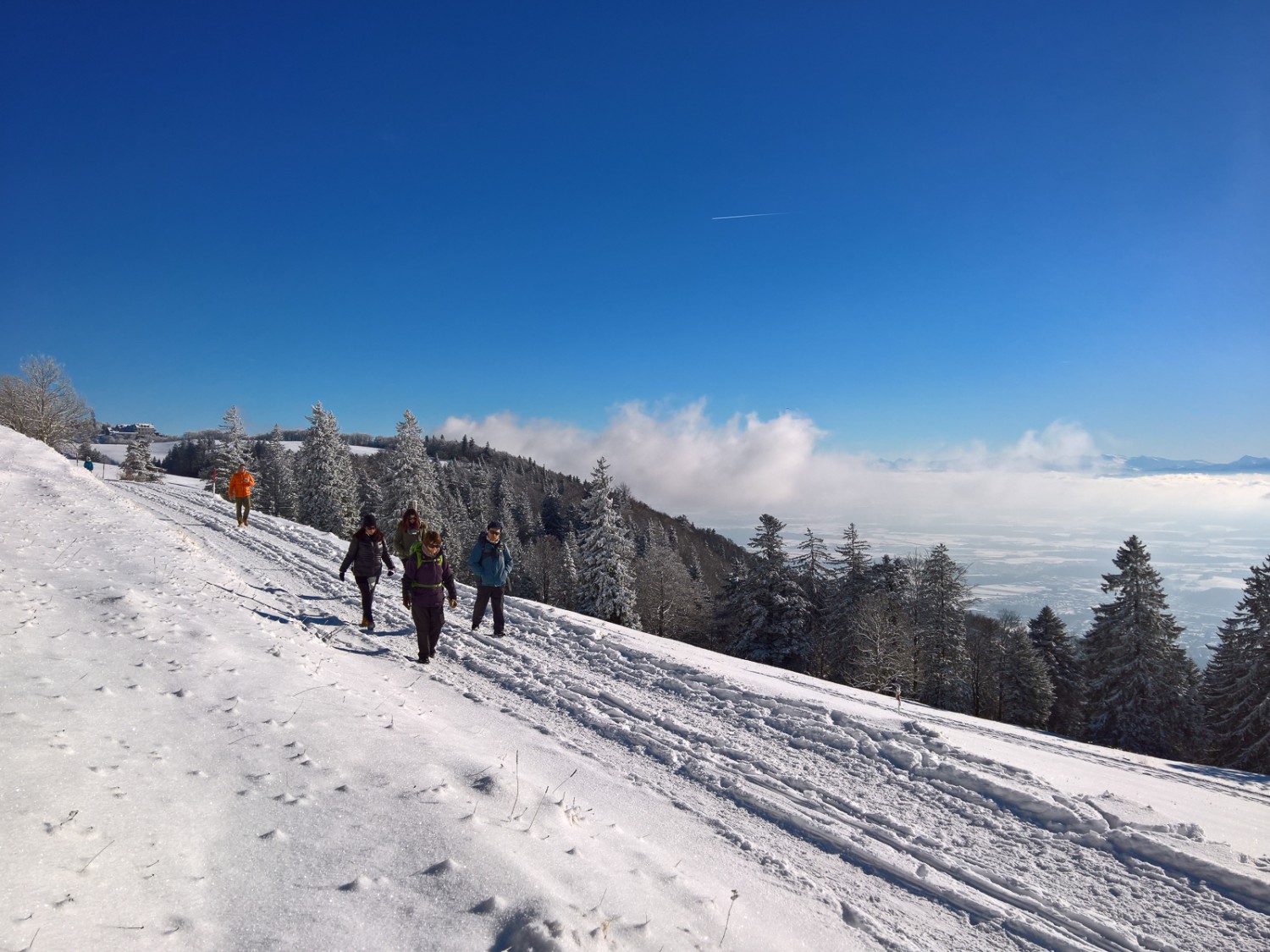 Mer de brouillard sur le Plateau, neige et soleil en altitude: la belle ambiance hivernale du Weissenstein. Photos: Andreas Staeger