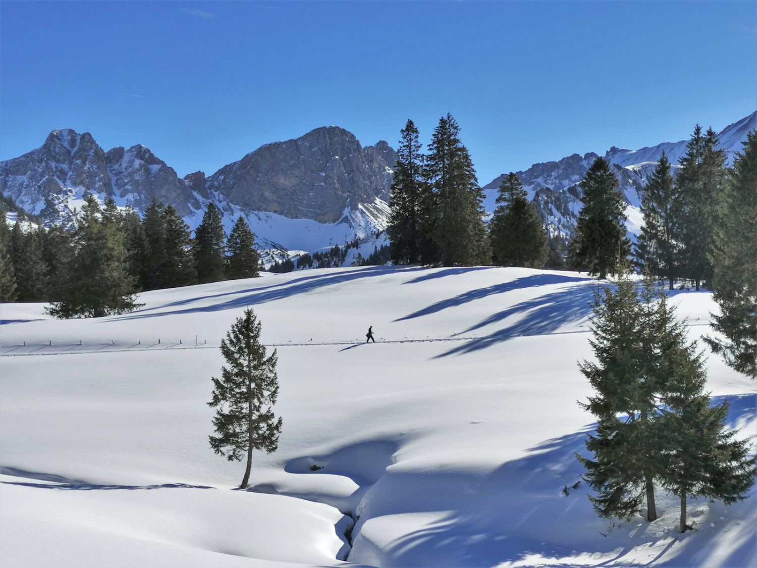 Le Totmoos enneigé. Au second plan, le Giswilerstock avec le Schafnase (à g.) et la Rossflue (au milieu). Photo: Andreas Staeger